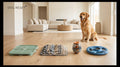 Kit Dog Reset - Enrichissement & Stimulation pour chiens